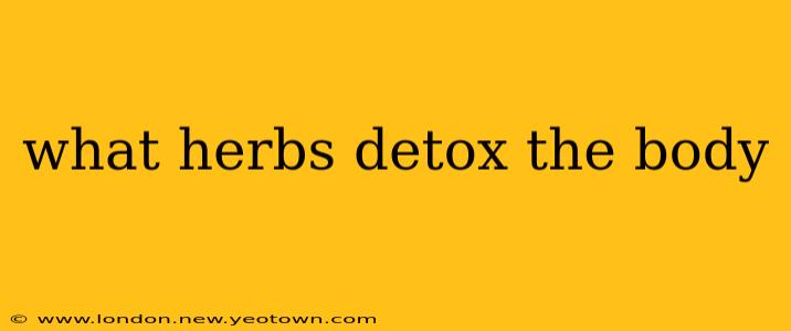 what herbs detox the body