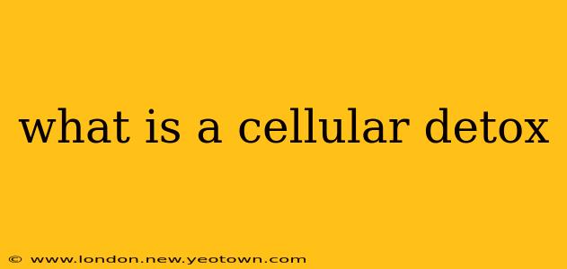 what is a cellular detox