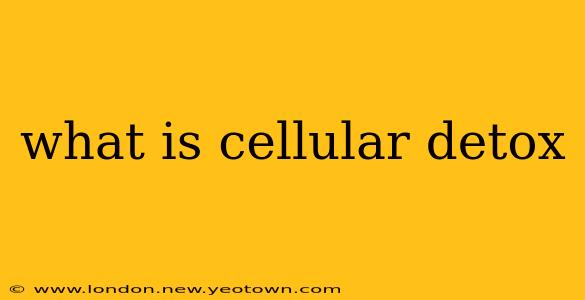 what is cellular detox