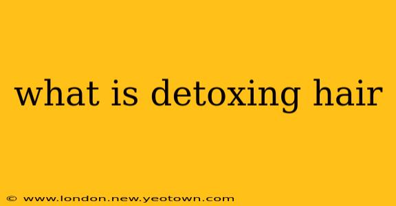 what is detoxing hair