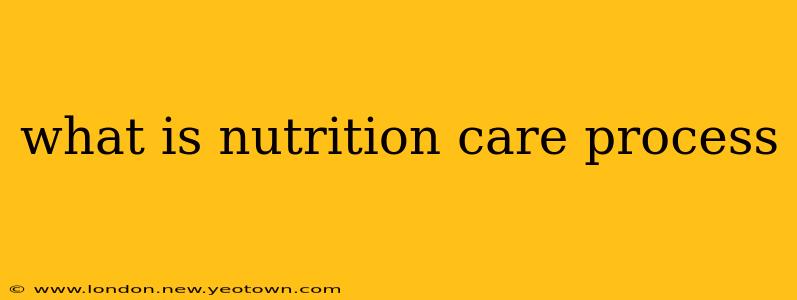 what is nutrition care process