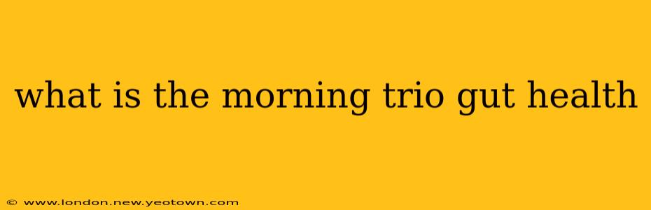 what is the morning trio gut health