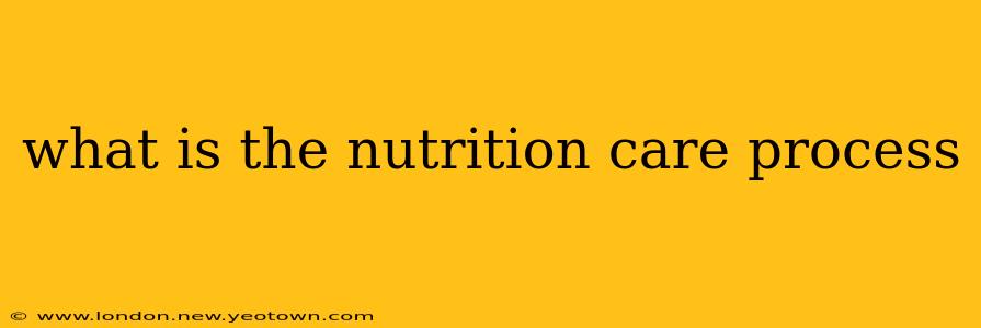 what is the nutrition care process