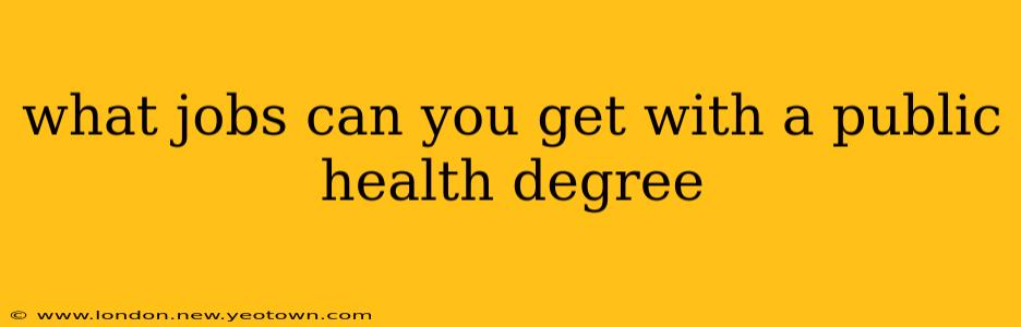 what jobs can you get with a public health degree