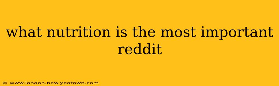 what nutrition is the most important reddit
