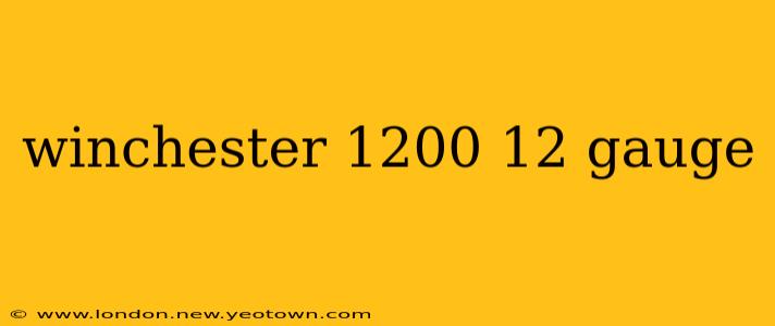 winchester 1200 12 gauge