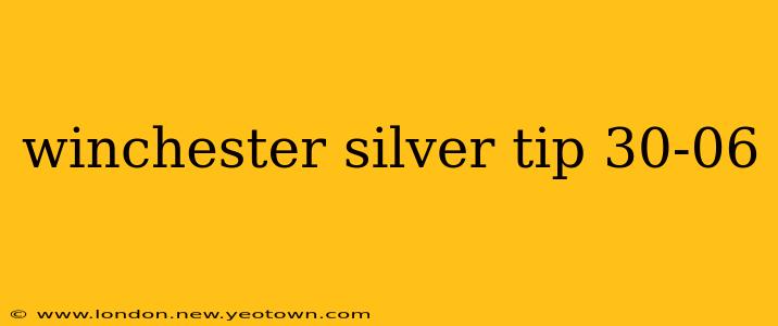 winchester silver tip 30-06