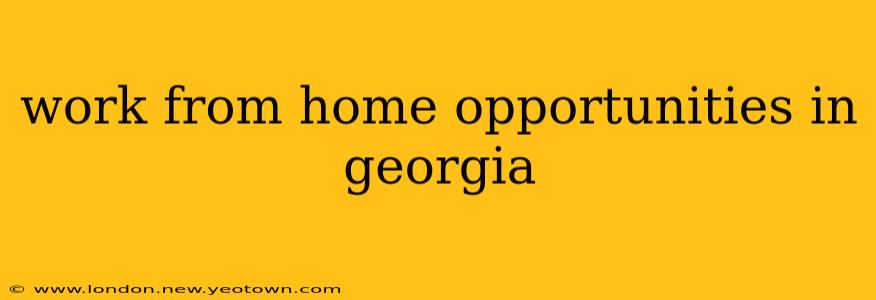 work from home opportunities in georgia