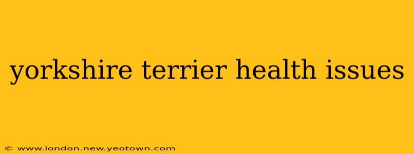 yorkshire terrier health issues